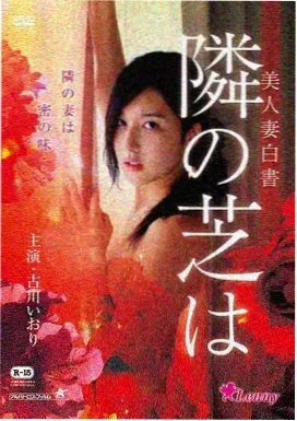 蜜桃视频官网现实主义电影候鸟不归海报